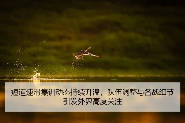 duan-dao-su-hua-ji-xun-dong-tai-chi-xu-sheng-wen-dui-wu-tiao-zheng-yu-bei-zhan-xi-jie-yin-fa-wai-jie-gao-du-guan-zhu-3-565.jpg